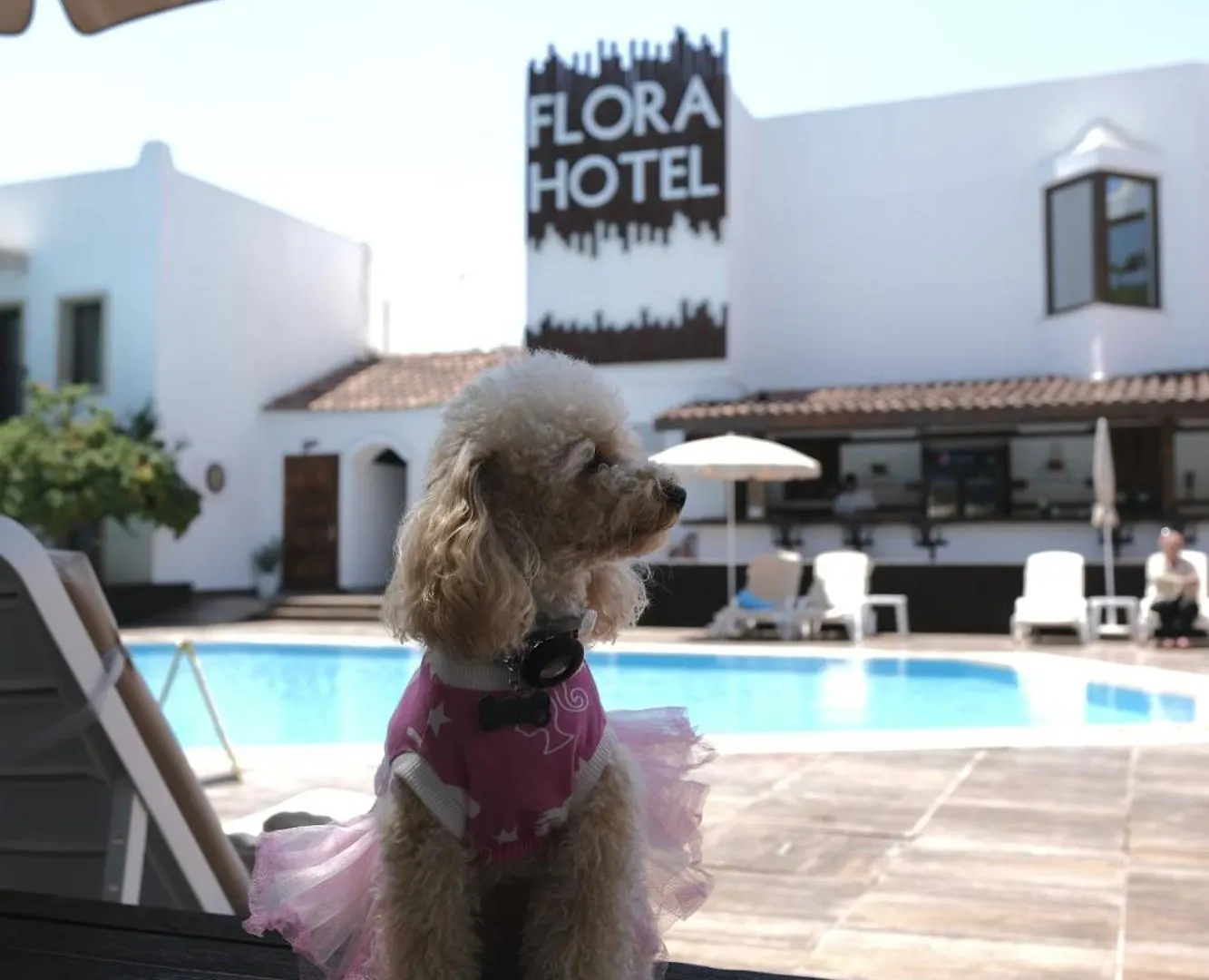 Flora Hotel Gümbet 3*,