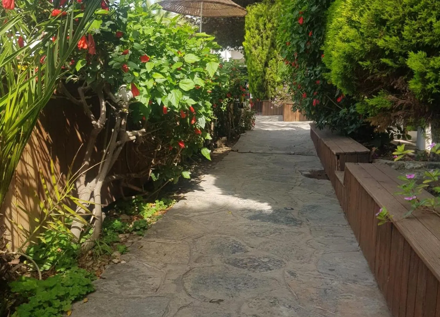 Flora Hotel Gümbet